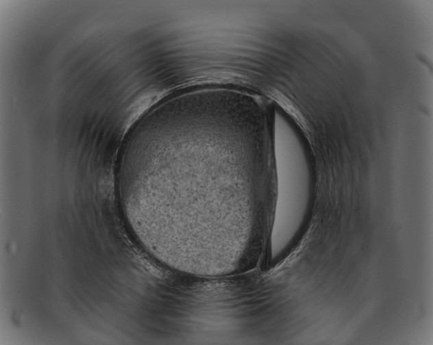 X0000091650834200709131448