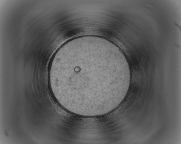 X0000091650836200709131448