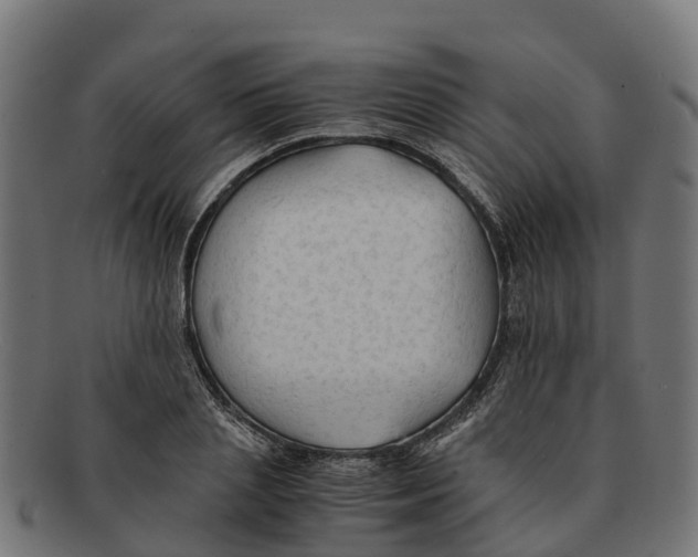 X0000091650837200709131448