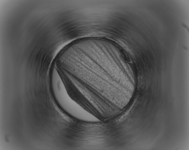 X0000091650838200709131449