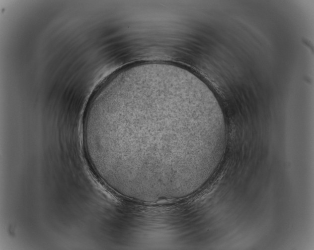 X0000091650840200709131449