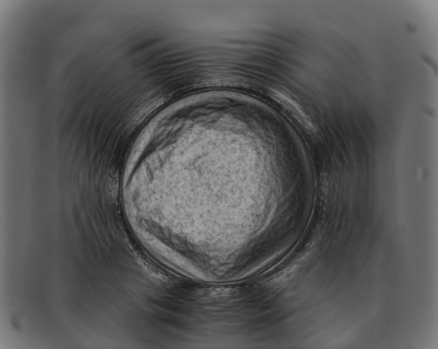 X0000091650841200709131449