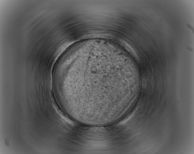 X0000091650844200709131449