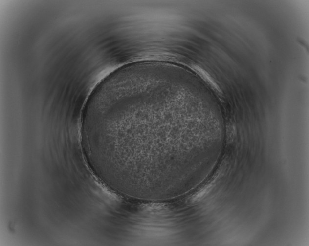 X0000091650846200709131449