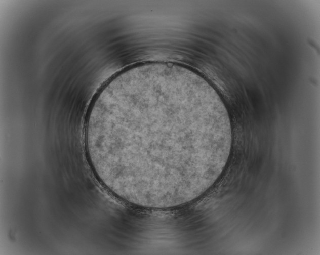 X0000091650848200709131449