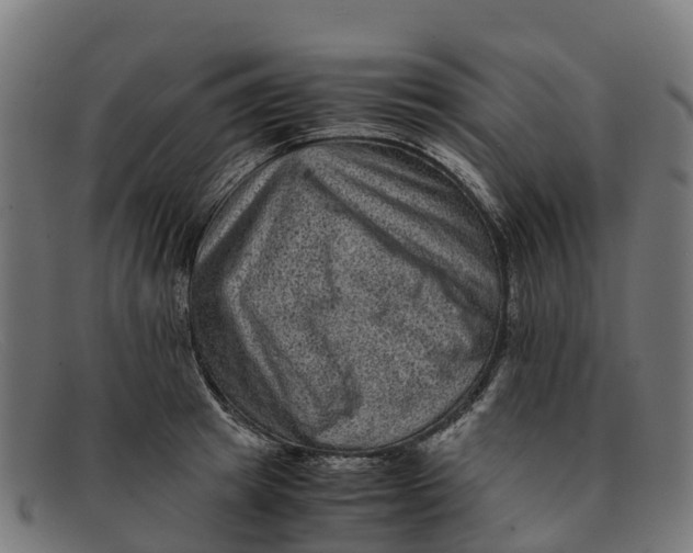 X0000091650849200709131449