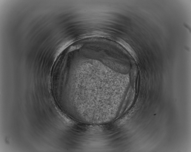 X0000091650850200709131449