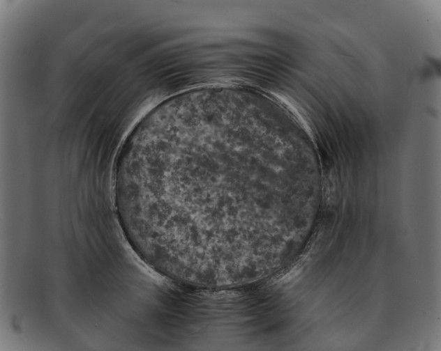 X0000091650851200709131449