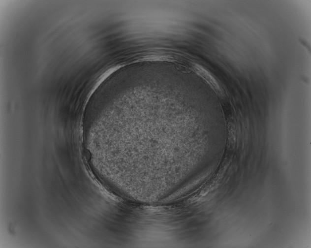 X0000091650852200709131449