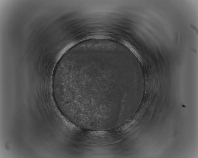 X0000091650853200709131449