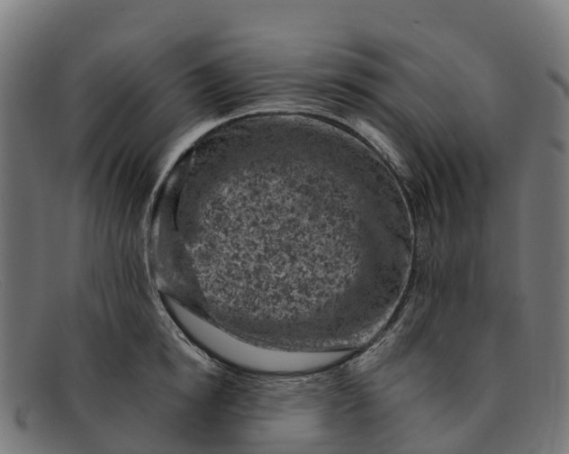 X0000091650854200709131449