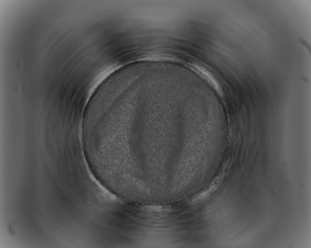 X0000091650855200709131449