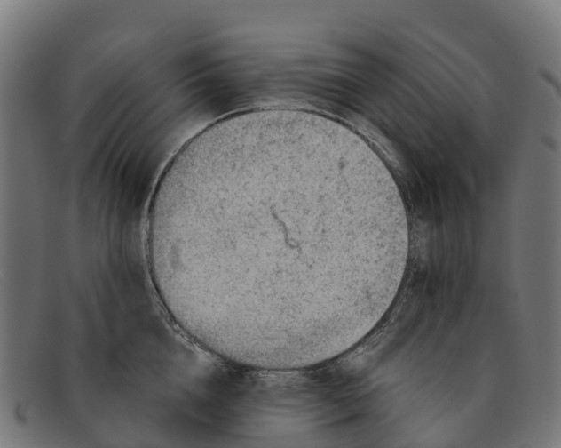 X0000091650856200709131449