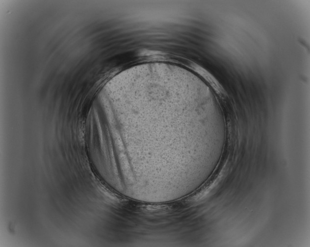 X0000091650857200709131449