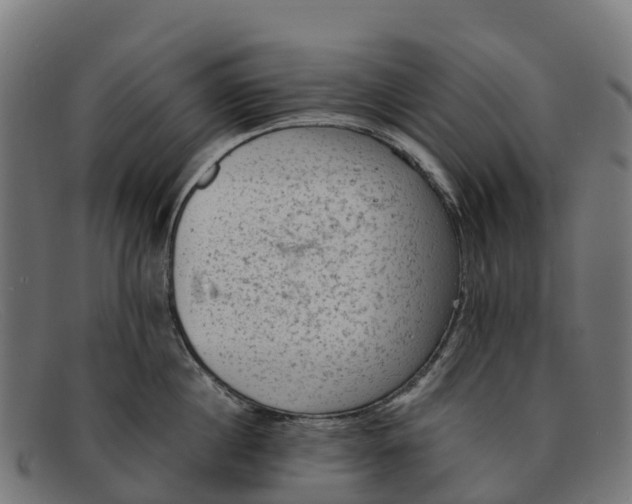 X0000091650860200709131449