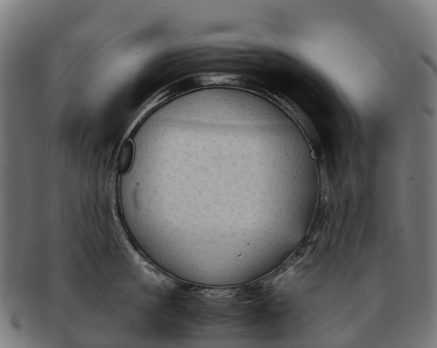 X0000091650861200709131449