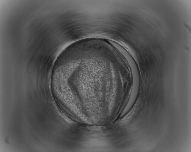 X0000091650862200709131449