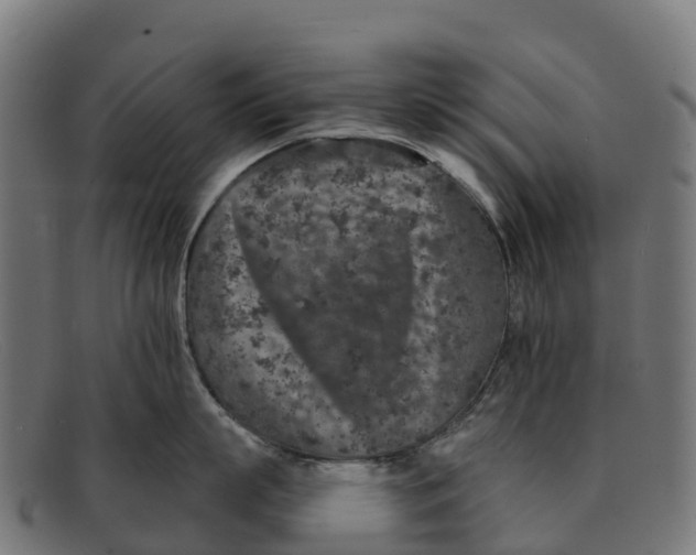 X0000091650863200709131449