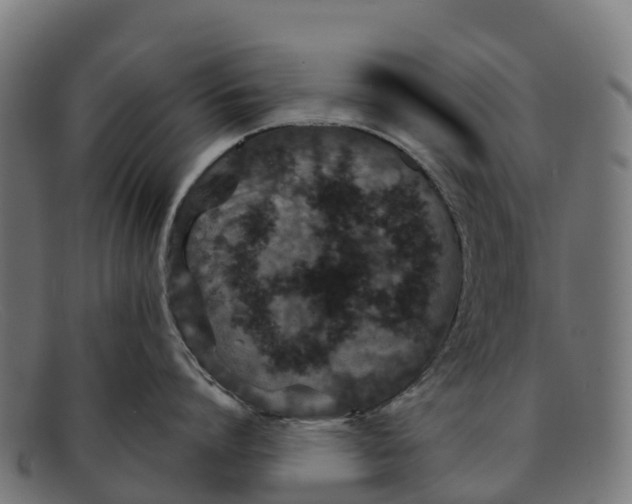 X0000091650864200709131449