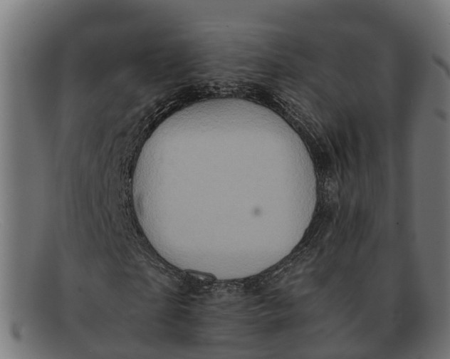 X0000091650865200709131448