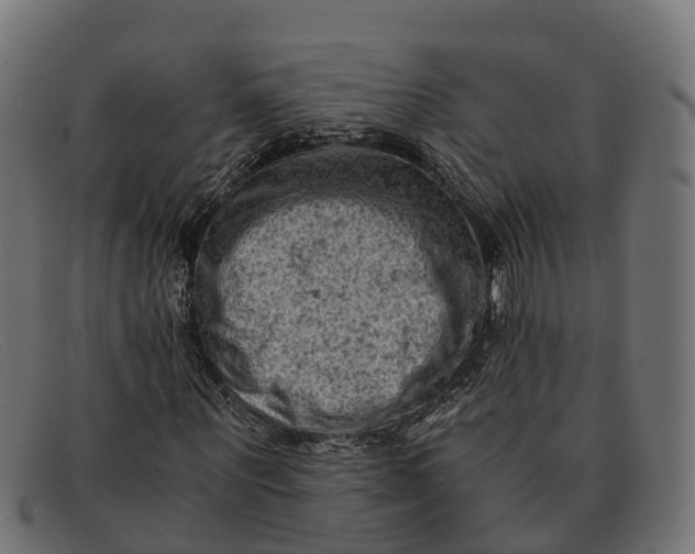 X0000091650867200709131448