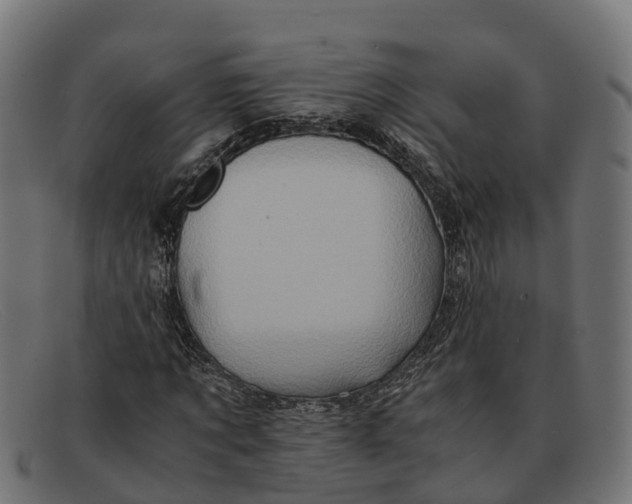 X0000091650869200709131448