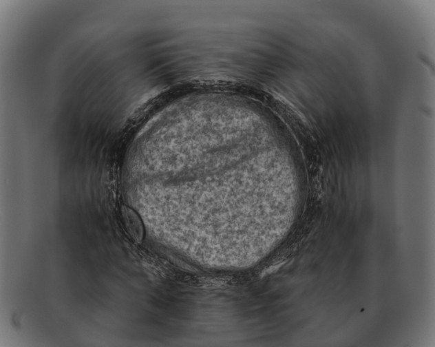 X0000091650870200709131448