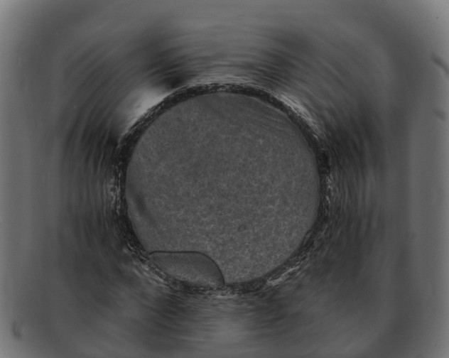 X0000091650872200709131448