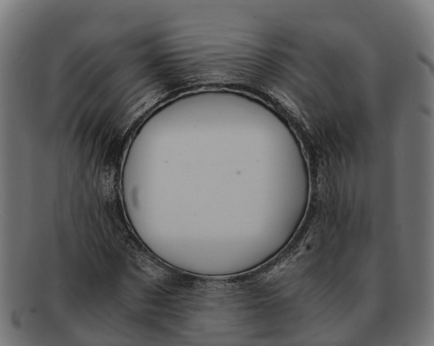 X0000091650873200709131448