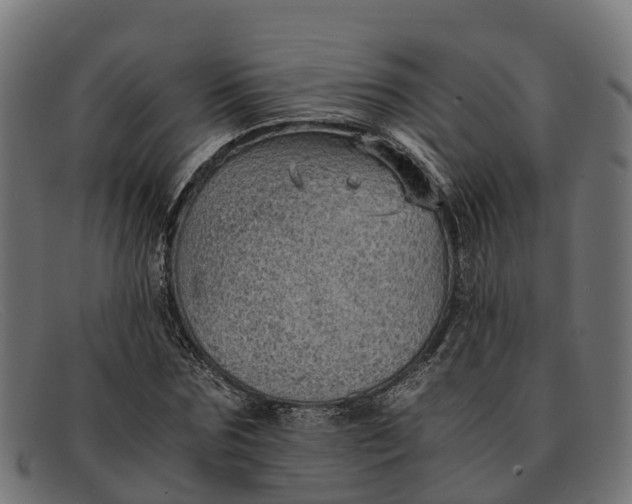 X0000091650875200709131448