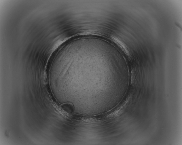 X0000091650876200709131448