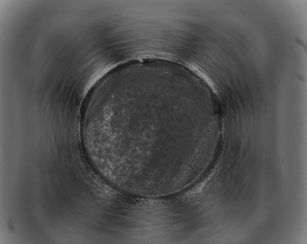 X0000091650877200709131448