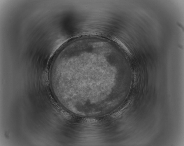 X0000091650878200709131448