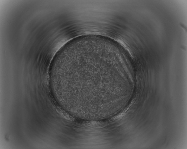 X0000091650879200709131448