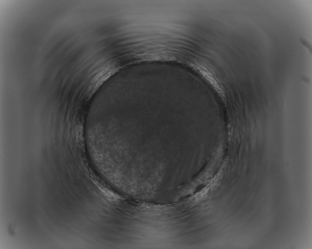 X0000091650881200709131448