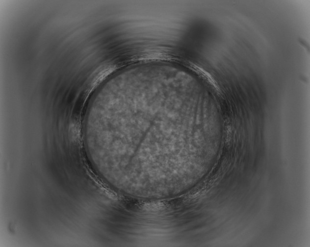 X0000091650882200709131448