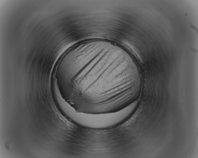 X0000091650884200709131448