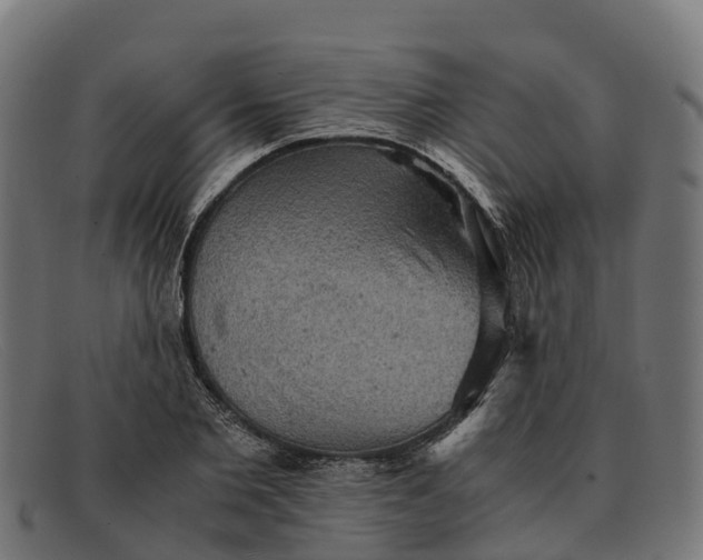 X0000091650885200709131448