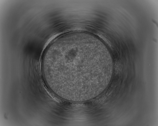 X0000091650886200709131448