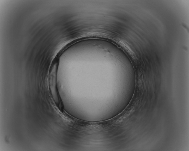 X0000091650888200709131448