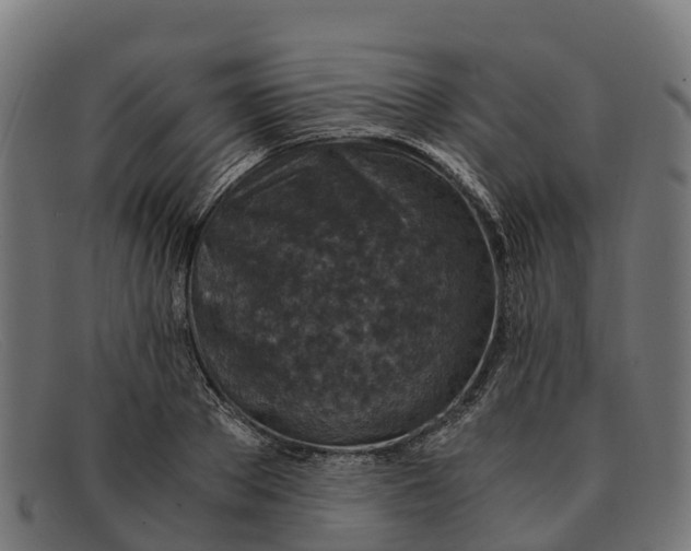 X0000091650889200709131448