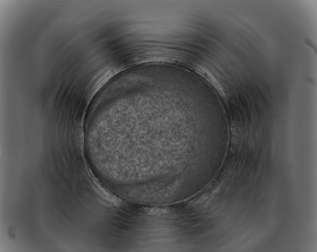 X0000091650890200709131448