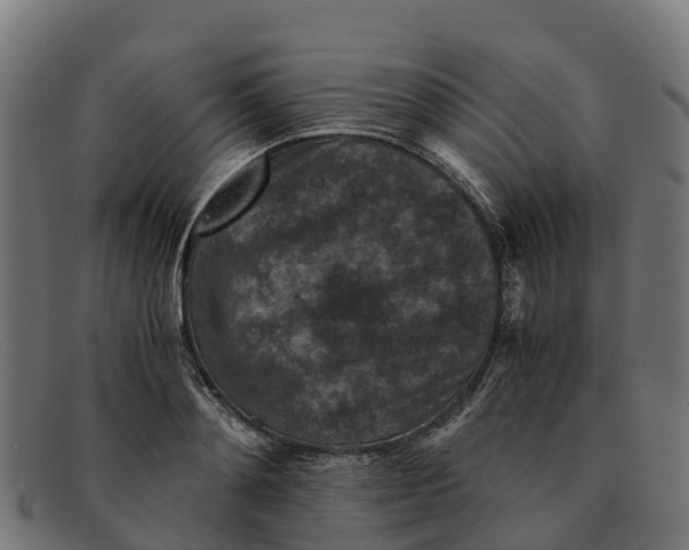 X0000091650892200709131448