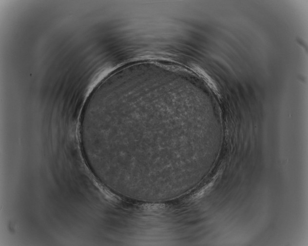 X0000091650893200709131448