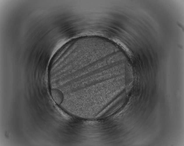 X0000091650894200709131448