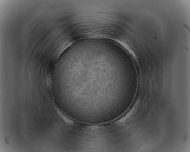 X0000091650897200709131448