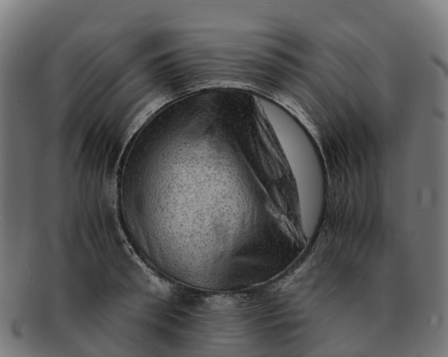 X0000091650898200709131448