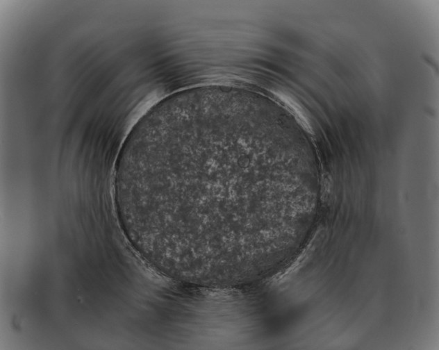 X0000091650899200709131448