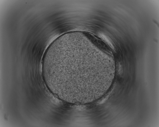 X0000091650900200709131448