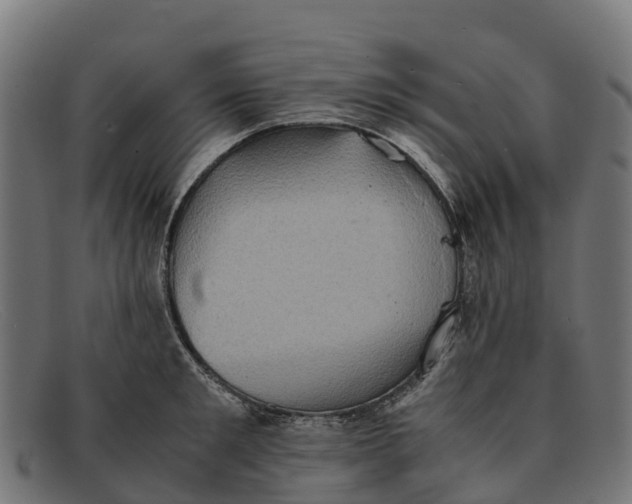 X0000091650901200709131448